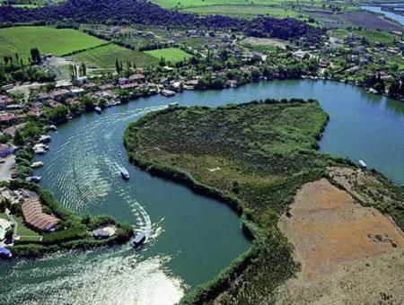 Dalyan Boat Trip