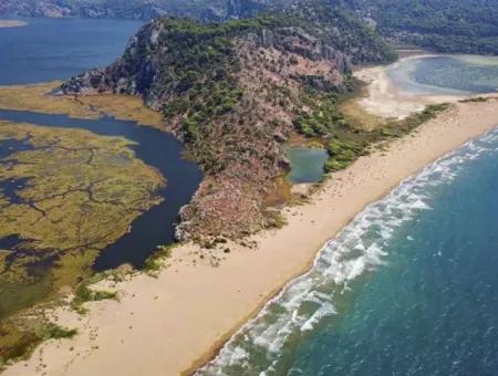 Dalyan Boat Trip