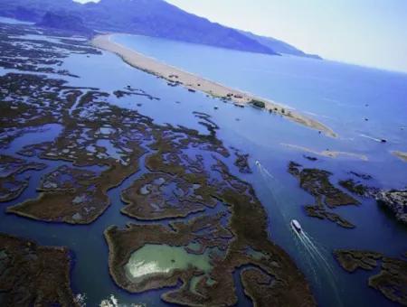 Dalyan Boat Trip