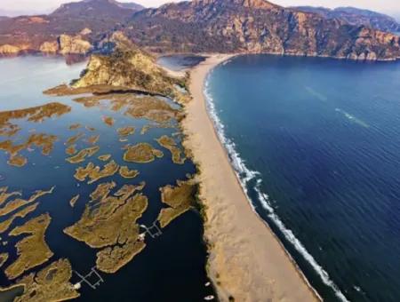 Dalyan Boat Trip