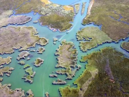 Dalyan Boat Trip