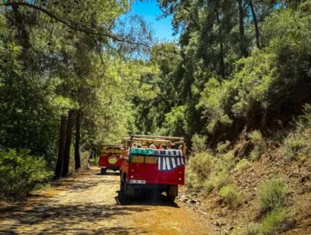 Jeep Safari
