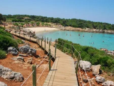 Akyaka Bays & Cleopatra Island Boat Tour | Full-Day Tour From Dalyan