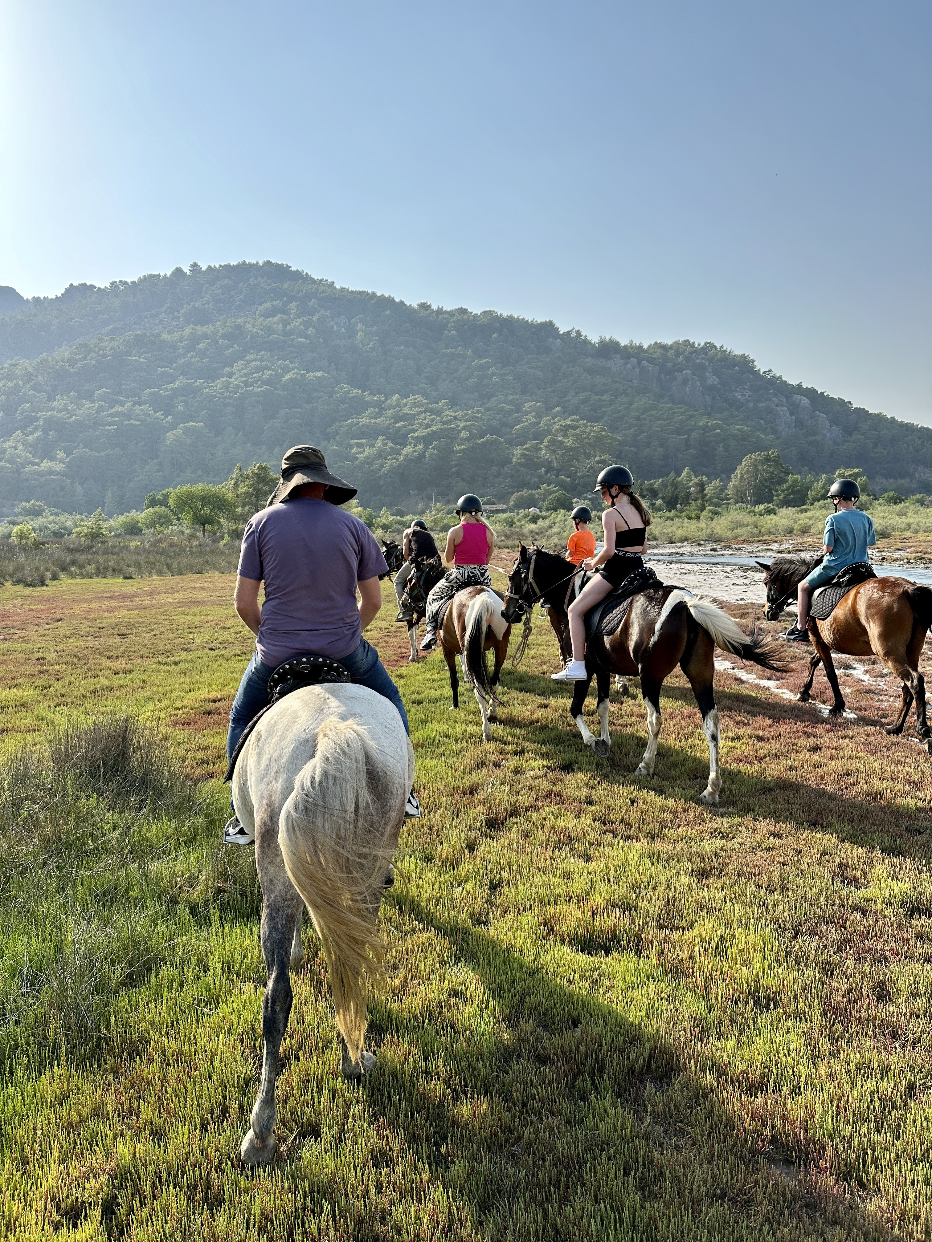 At Safari Kaplıca Turu