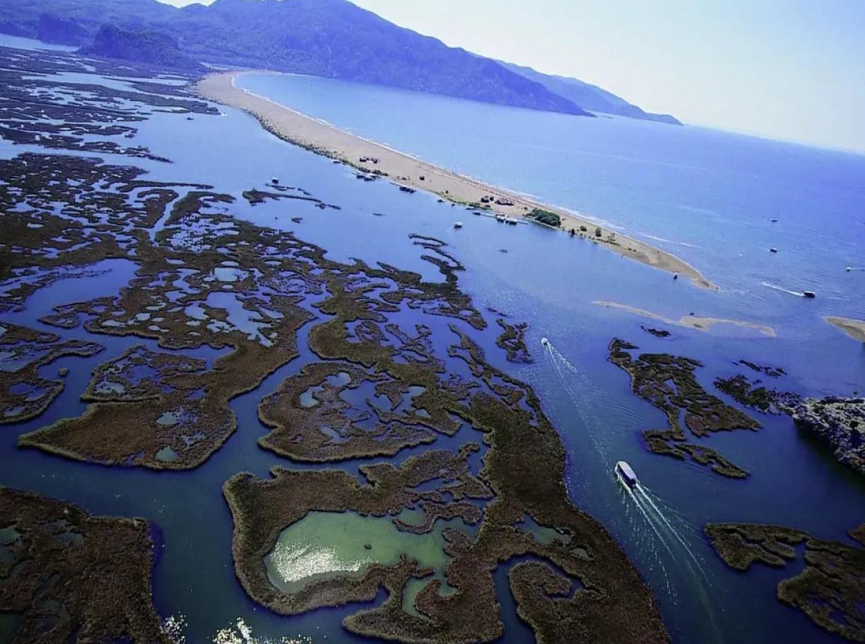 Dalyan Tekne Turu – Yüzme, Doğa Ve Caretta Macerası